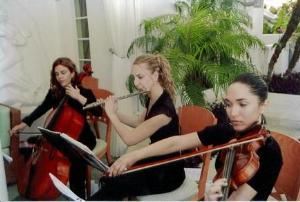 Elegant Musicians, LLC.