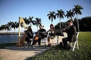 Elegant Musicians, LLC.