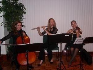 Elegant Musicians, LLC.