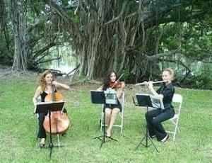 Elegant Musicians, LLC.