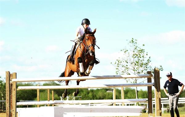 North Texas Equestrian Center, Inc.
