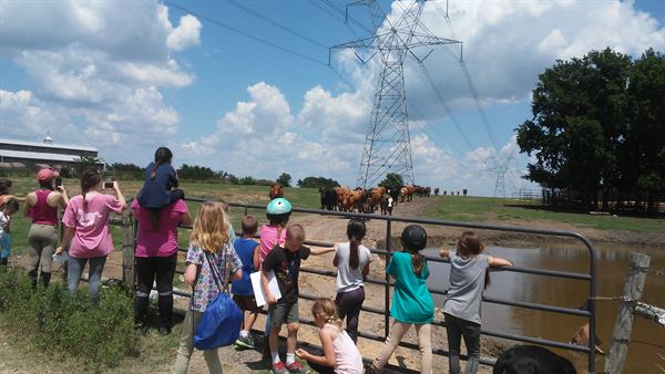 North Texas Equestrian Center, Inc.