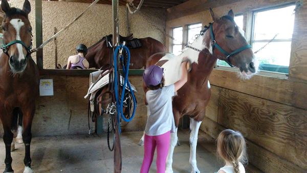 North Texas Equestrian Center, Inc.