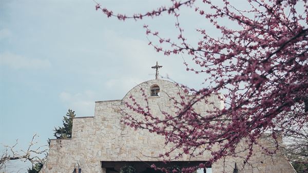 Bear Hands Media Group