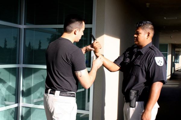 Guardian Protection Force