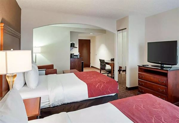 Comfort Suites Dulles Airport