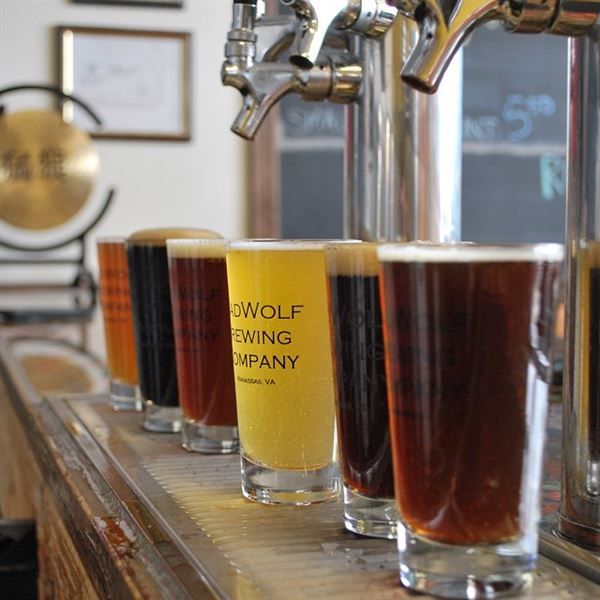 BadWolf Brewing Company