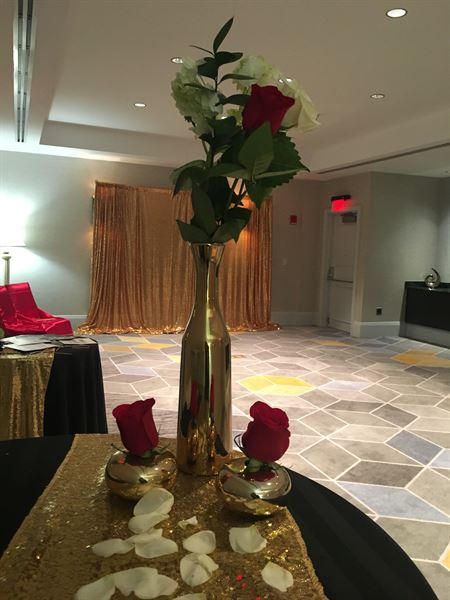 TaranaOM Creations !