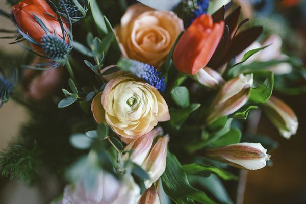 Alexandra Marciello Events