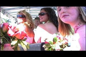 Platinum Digital Video