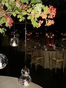 Bel Momento Weddings & Special Events