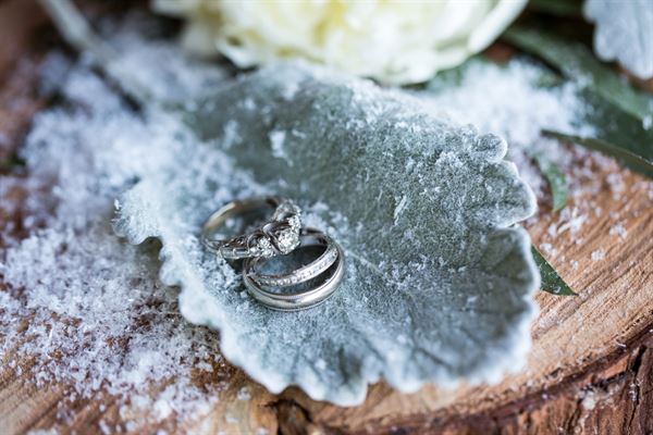 Elizabeth Victoria Photography