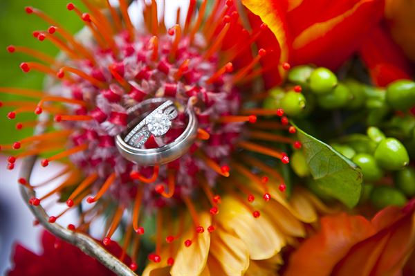 Elizabeth Victoria Photography