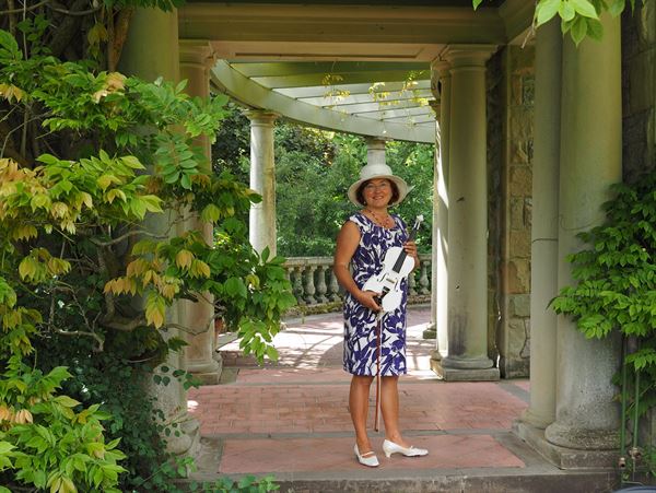 Live Violin performance