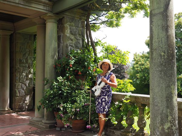 Live Violin performance