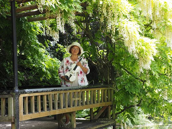 Live Violin performance