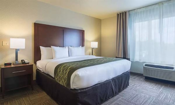 Comfort Inn Bentonville