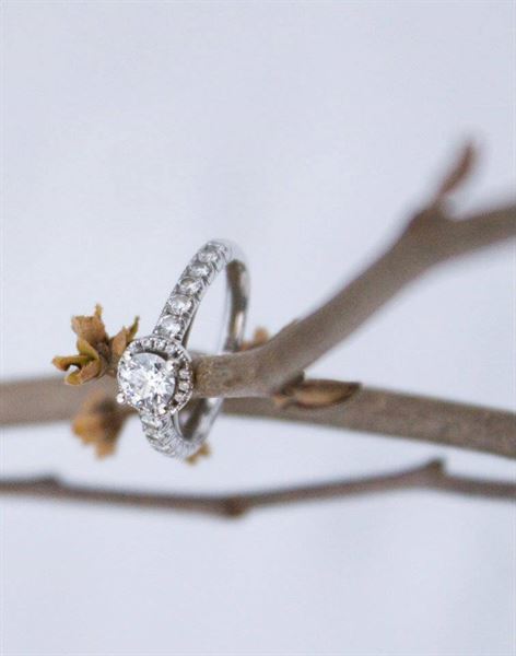 Kathy Grinstead Photography