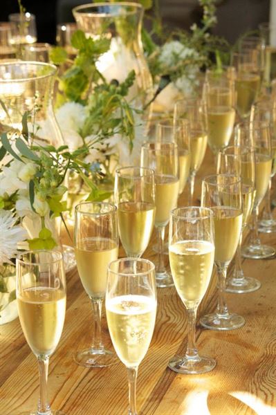 Kathy Grinstead Photography