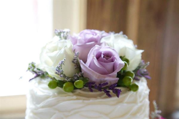 Kathy Grinstead Photography