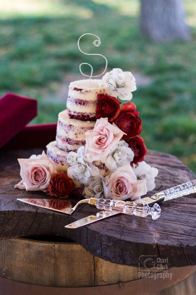 Chari Laree Photography