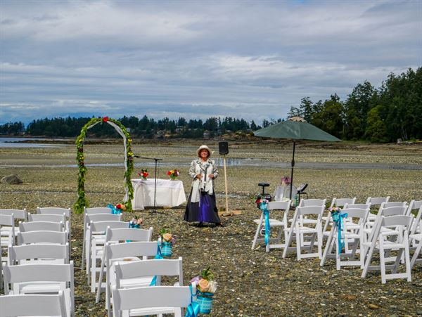 Live Violin performance