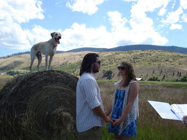 Koza Consulting Services