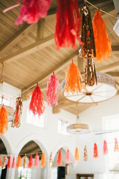 Paper Ban Photography