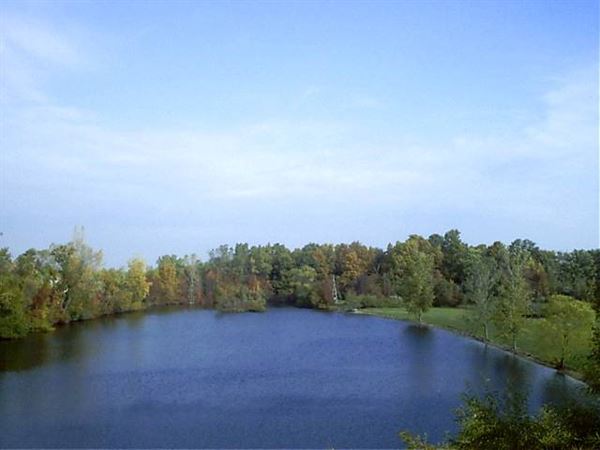 Williams On The Lake Catering