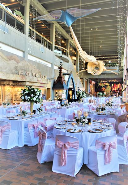 Grand Rapids Public Museum