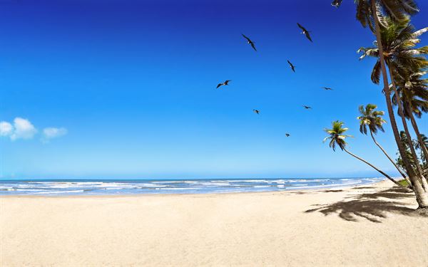 Sanibel Island Beach Resort