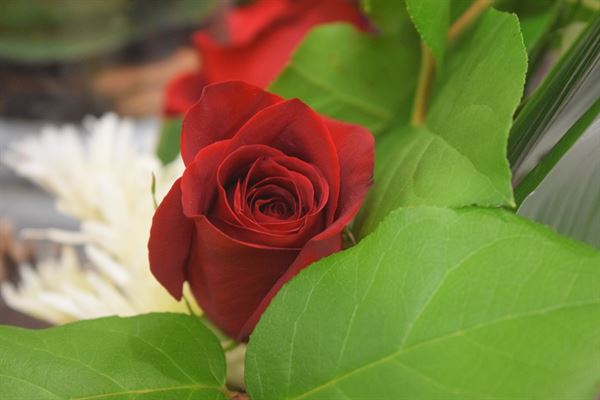 Still Mind Ministries