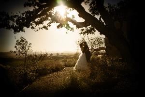 Weddings by Sarah Angelique