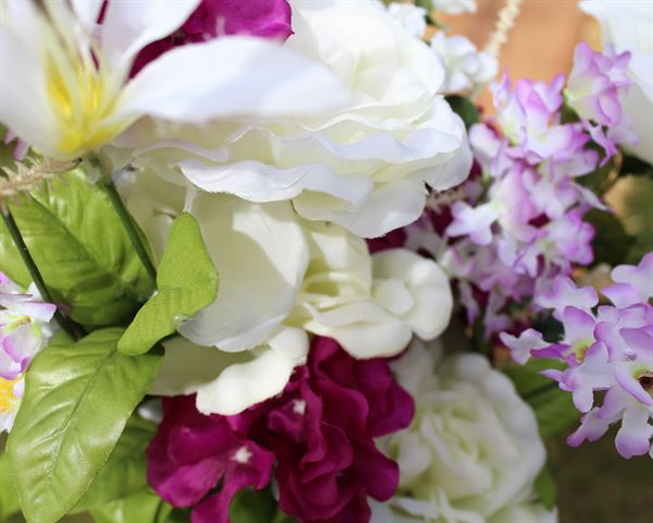 Perfect Pearl Photography By Kimberly