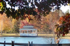 Gazebo On The Water
