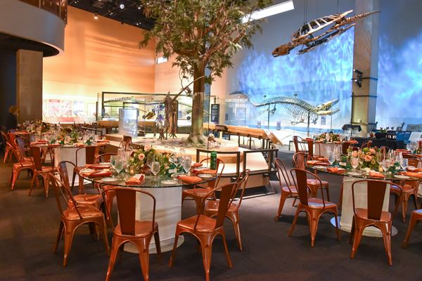 Perot Museum of Nature and Science