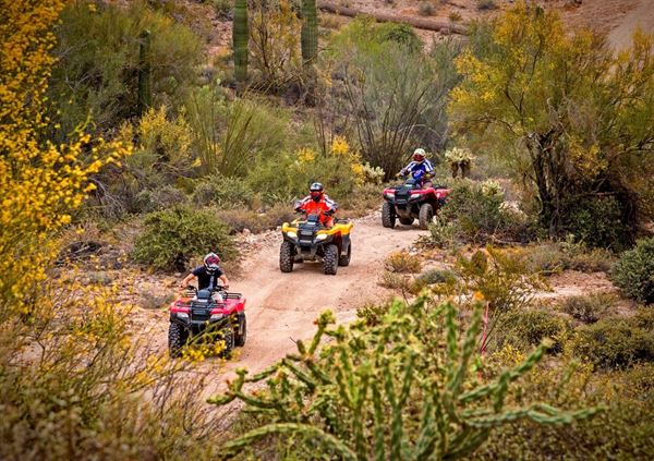 Arizona Outdoor Fun Adventures & Tours
