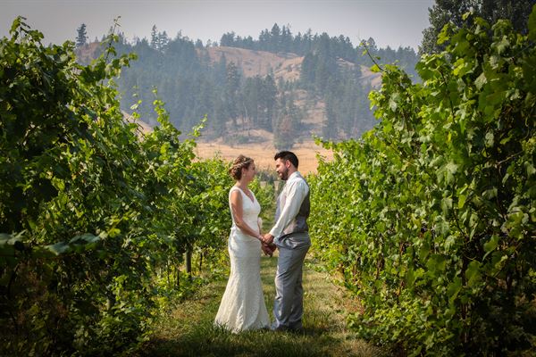 Privato Vineyard and Winery