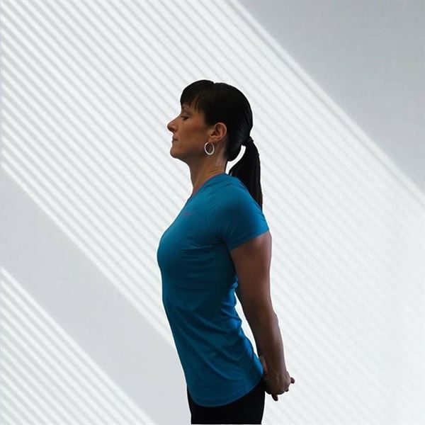 Wellness On The Go Inc.