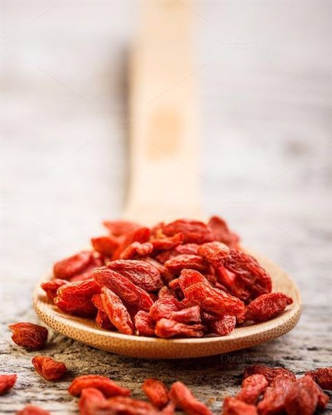 Wellness On The Go Inc.