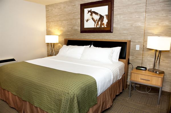 Holiday Inn Spearfish-Convention Center