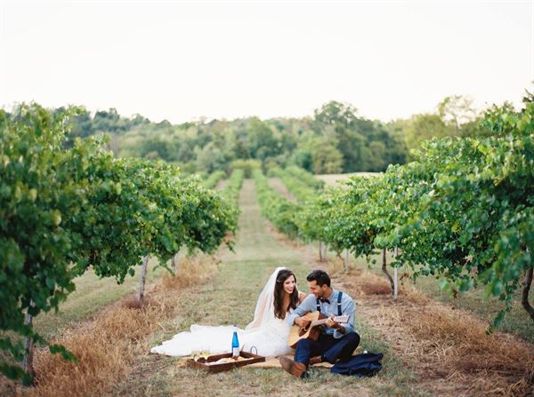 Tsali Notch Vineyard
