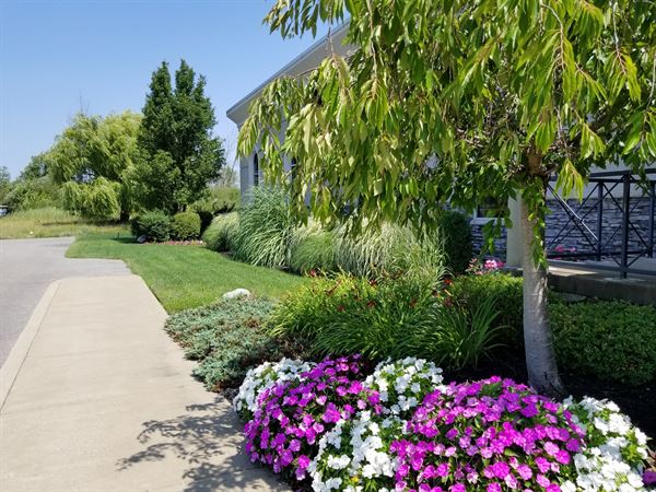 Diamond Hawk Golf Course & Pub "The Hawk"