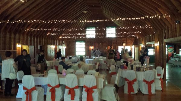 Magical DJ Productions