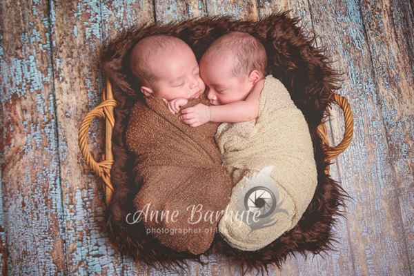 Photographer Of Life, LLC