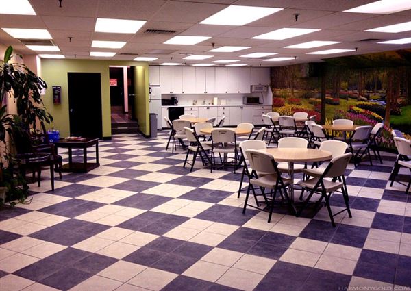 Harmony Gold Preview House