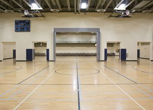 Gymnasiums