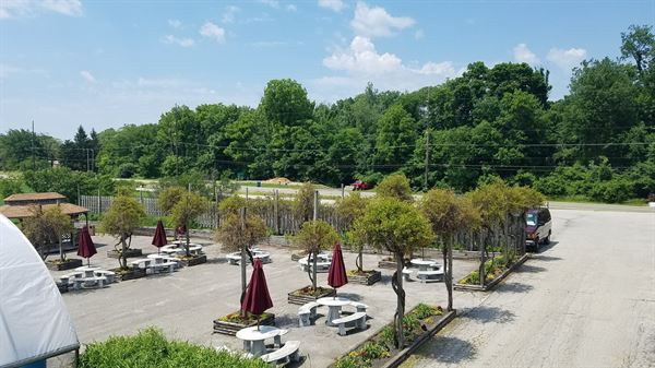 Anderson's Winery and Vineyard