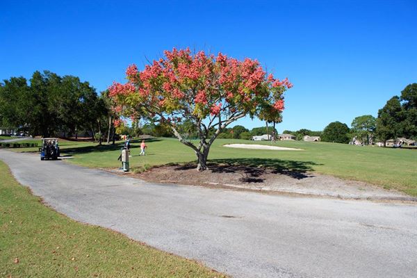 The Eagles Golf Club of Tampa Bay