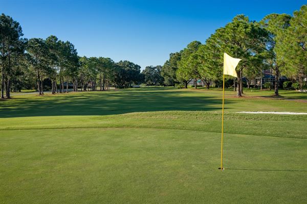 The Eagles Golf Club of Tampa Bay
